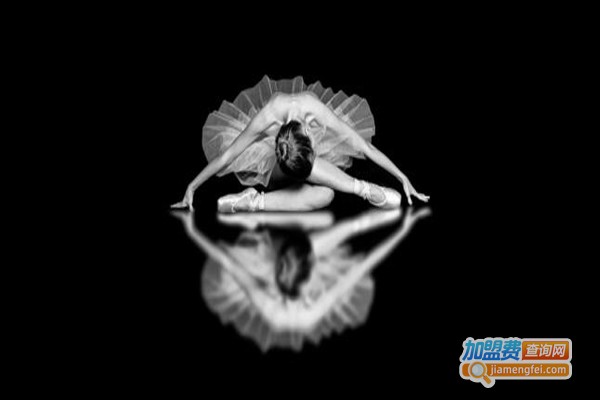 我的路·芭蕾艺术加盟费