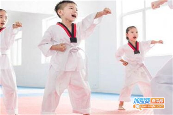 斌力跆拳道加盟费