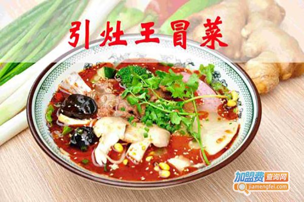 王太爷冒菜加盟费