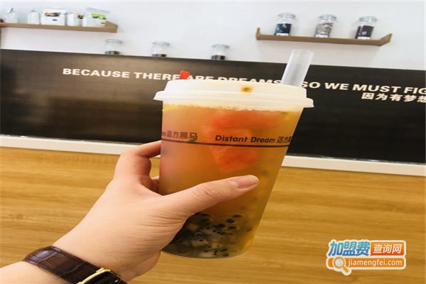 远方黑马Distant dream加盟费