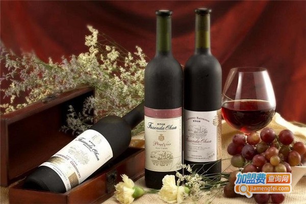 贡多拉葡萄酒庄加盟费