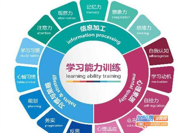 狮子王辛巴学习能力训练中心