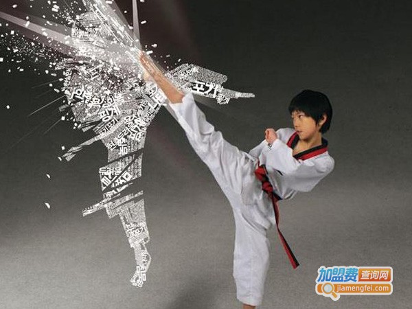 宏英跆拳道加盟费