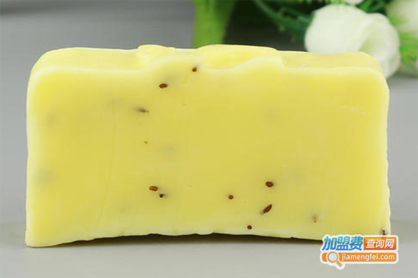 施丹兰洁面皂加盟费