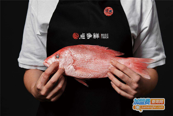 MagicTouch点争鲜加盟费