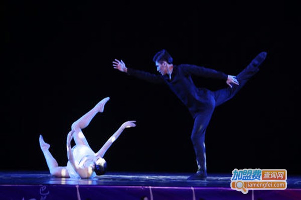 我的路·芭蕾艺术加盟费