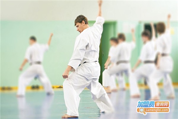 禹翼跆拳道加盟费