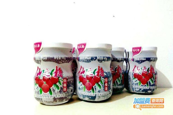 仙之梅杨梅酒加盟费