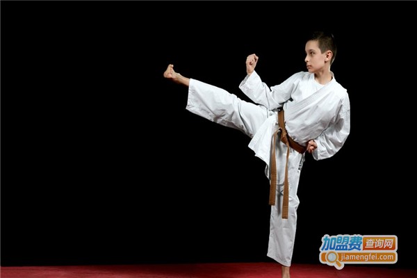 永进跆拳道加盟费