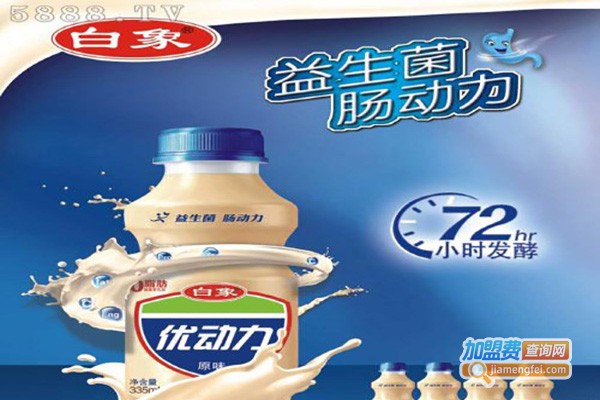 白象饮品加盟费