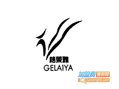 格莱雅化妆品加盟