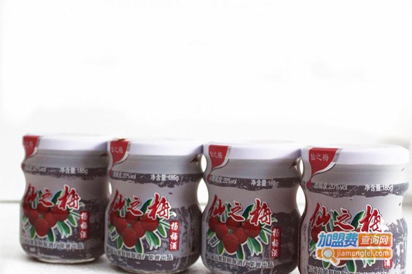 仙之梅杨梅酒加盟费