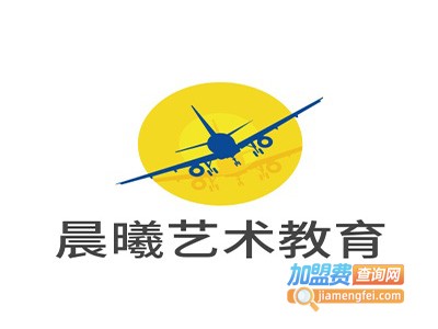 晨曦艺术教育加盟费