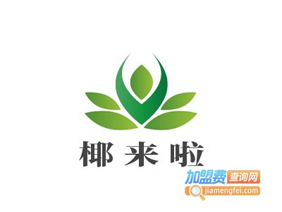 椰来啦加盟费