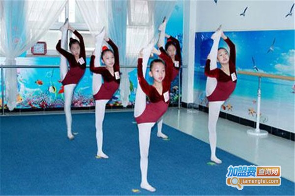 艺翔舞蹈学校加盟费