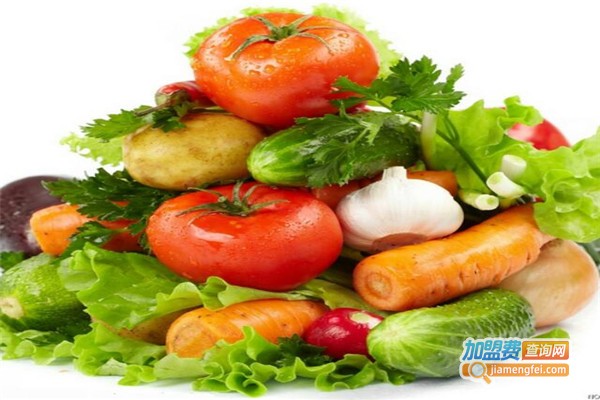 东熙明日用品加盟费