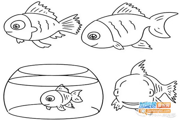 大鱼教育加盟费