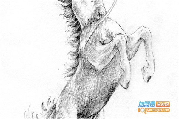 正向画室加盟费