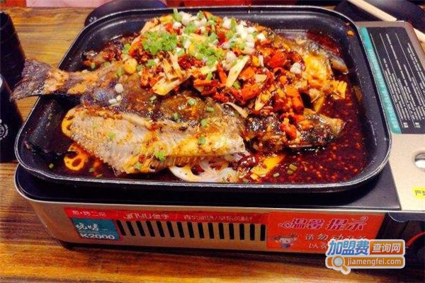 橘猫烤鱼加盟费