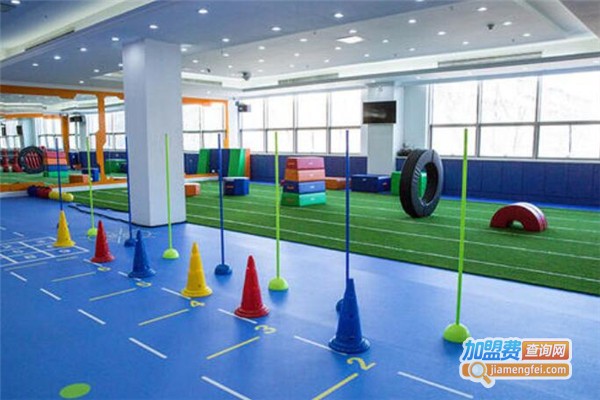 星奥少儿体能馆加盟费