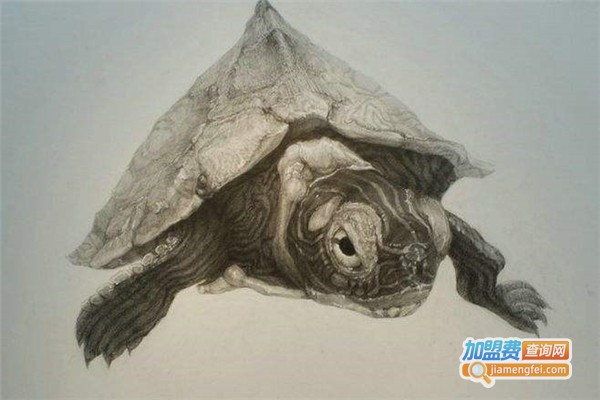 央美城院学堂加盟费