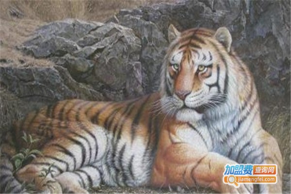 SMHZ洪泽画社加盟费