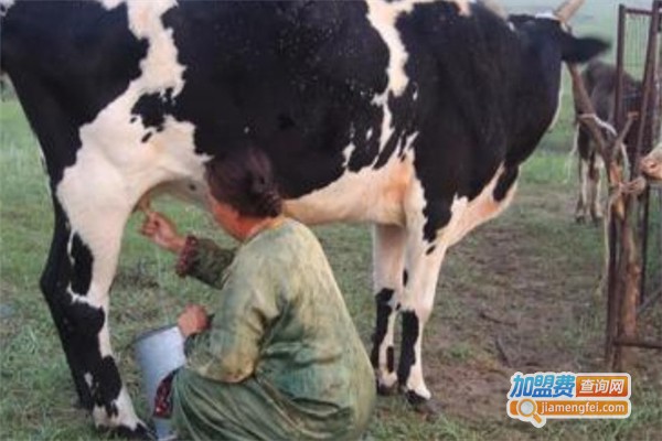 乐享牧场鲜奶吧加盟费