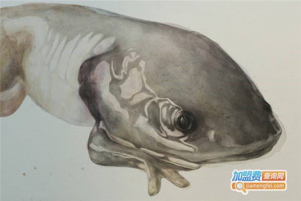 央美城院学堂加盟费