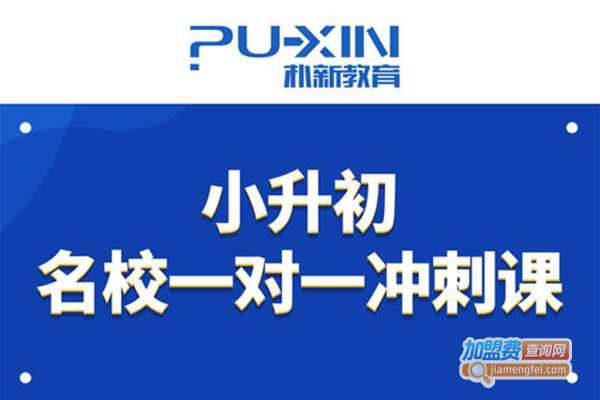朴新网校