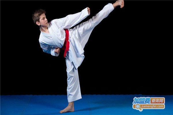 志伟跆拳道加盟费