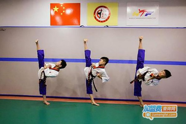 仁武跆拳道加盟费