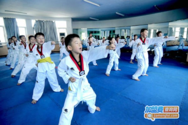 奥星跆拳道加盟费
