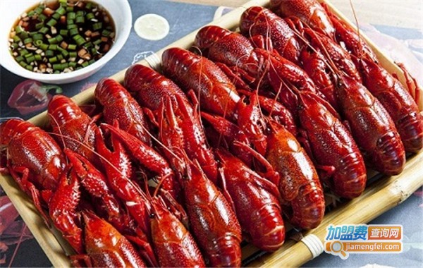 百燚虾田加盟费