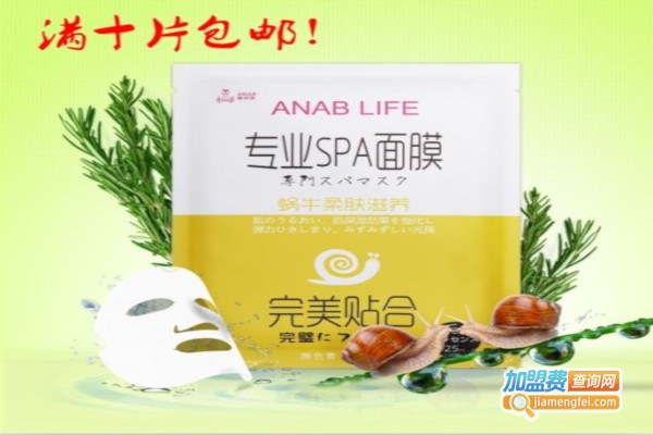 爱伊肤面膜加盟费