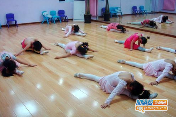 那些花儿舞蹈培训中心加盟门店