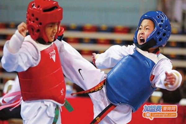 任行刚跆拳道加盟费