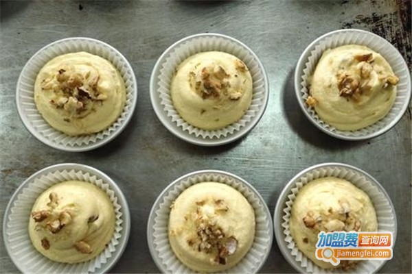 申伦职业加盟费