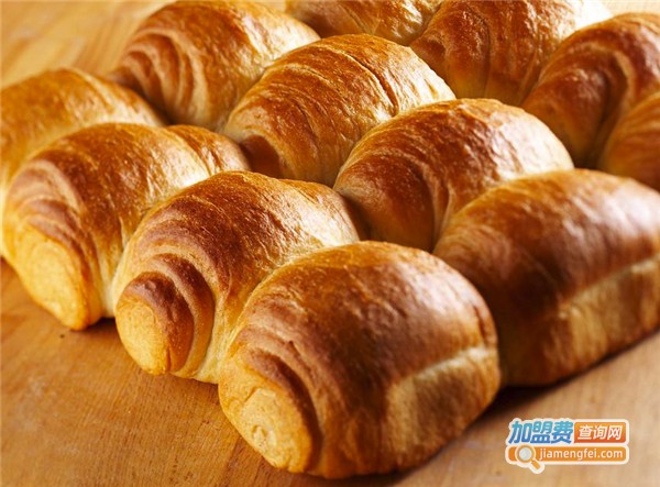 Fanorc法诺滋加盟费