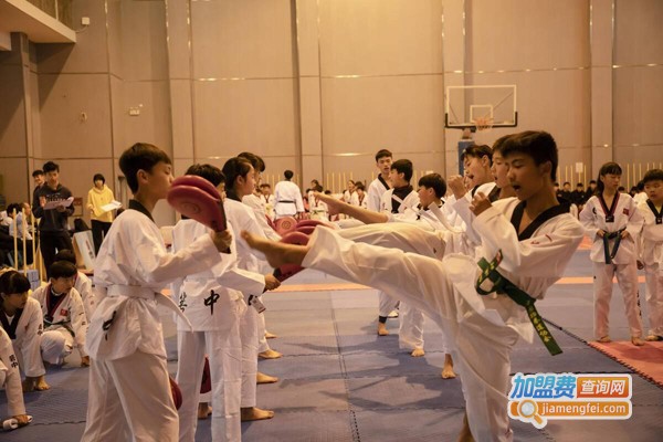 天一跆拳道加盟费