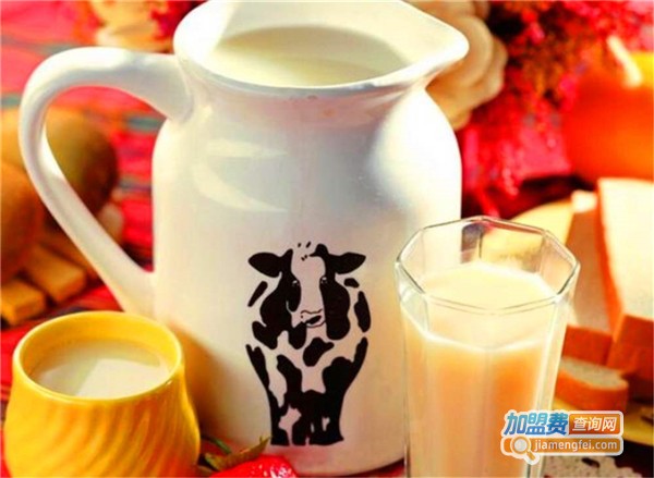 诺尔嘉牛奶加盟费