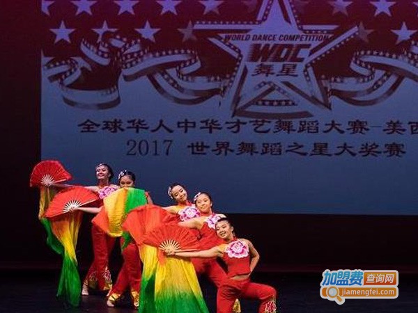 北舞之星艺术教育加盟费