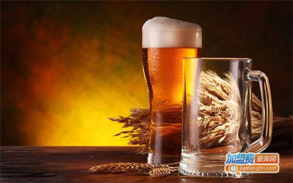 撸袖子精酿啤酒轻奢餐吧加盟费