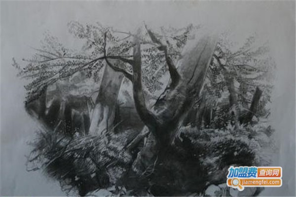 熙程画室加盟费