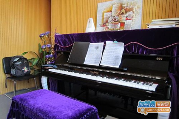 王焱钢琴艺术培训学校加盟费