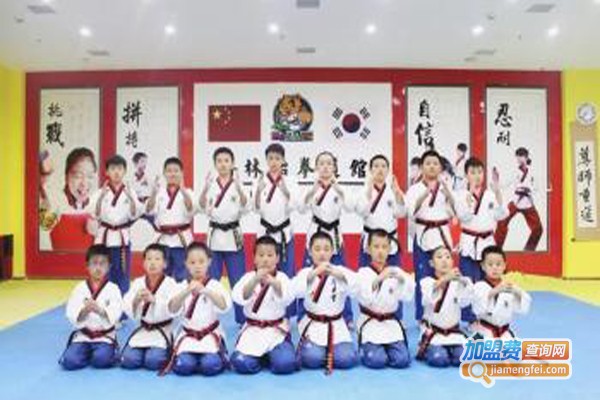 得林跆拳道加盟费