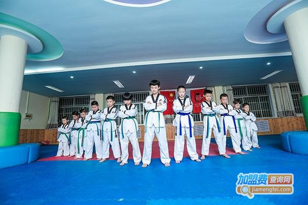 龙仁跆拳道加盟