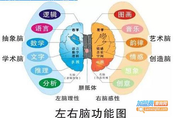 优的堡全脑开发加盟门店