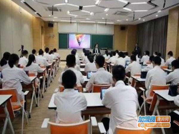 伟亮教育加盟费