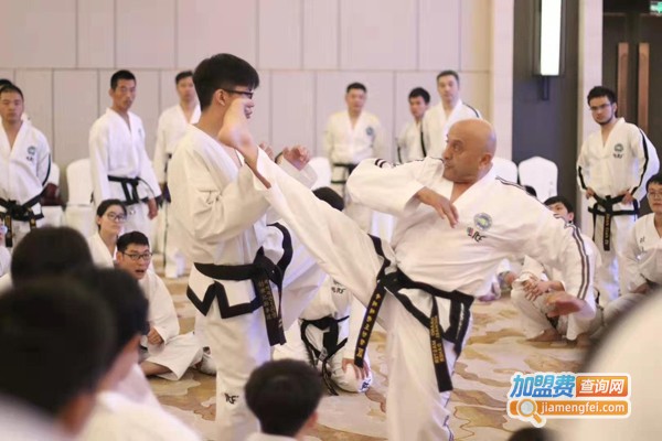 九段国际跆拳道加盟费