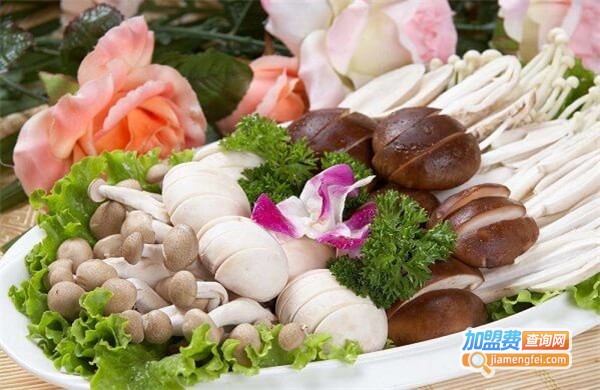 蜀汉印象火锅加盟费